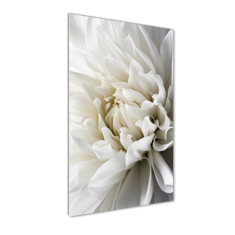 Wall art on glass White Dalia