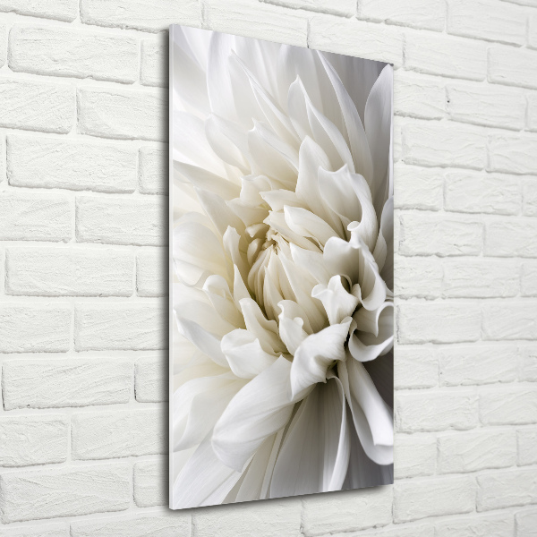 Wall art on glass White Dalia