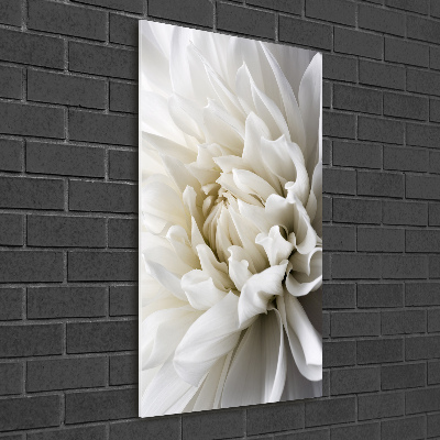 Wall art on glass White Dalia