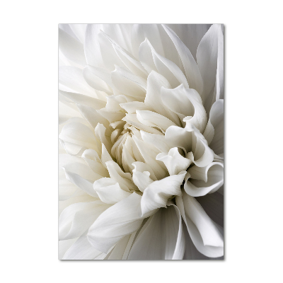 Wall art on glass White Dalia