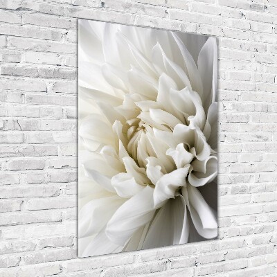 Wall art on glass White Dalia