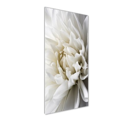 Wall art on glass White Dalia