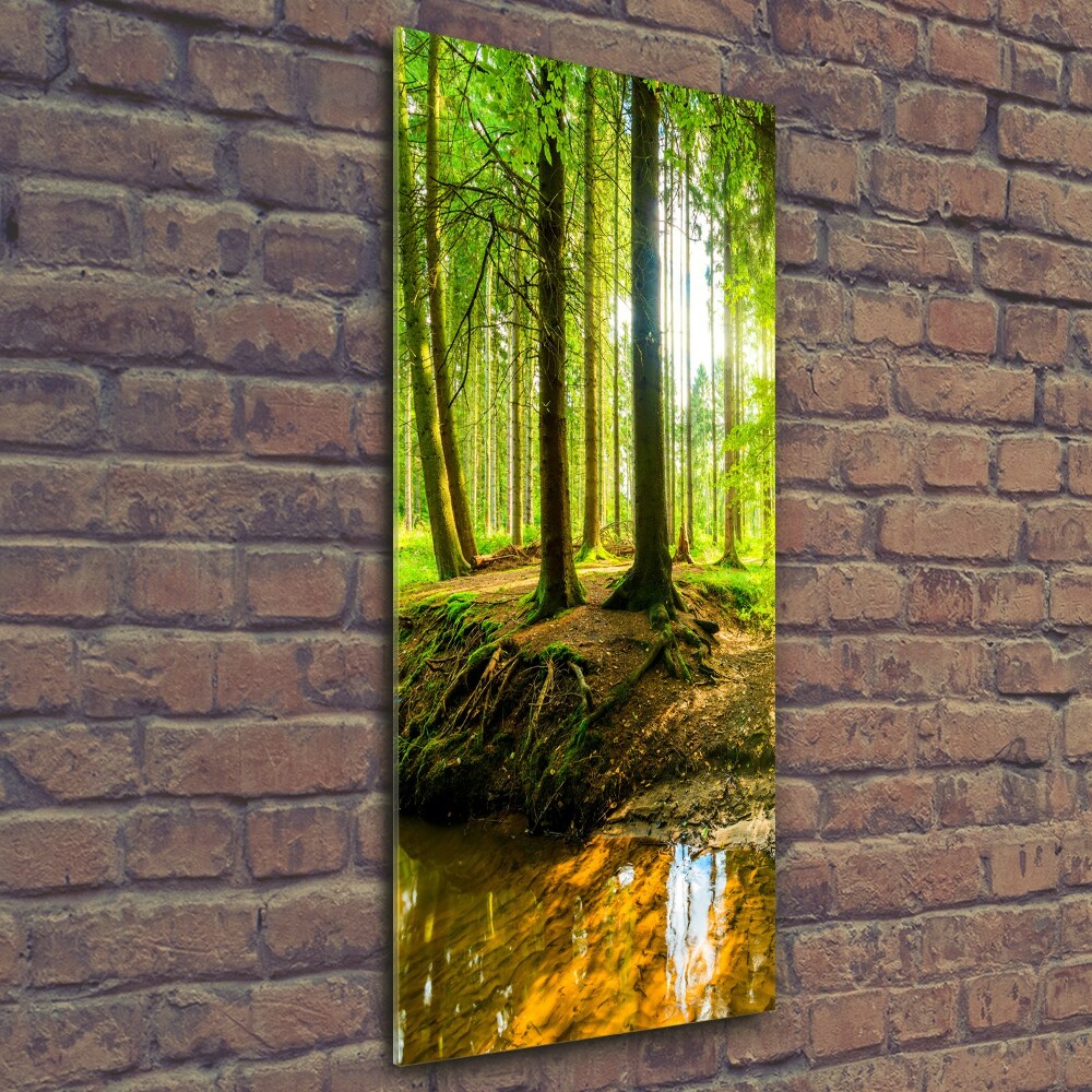 Glass wall art Stream in the forest