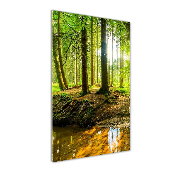 Glass wall art Stream in the forest