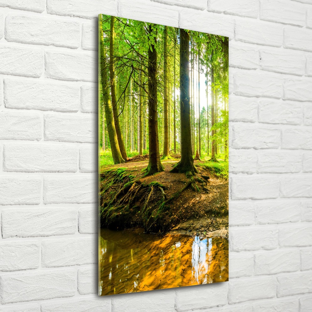 Glass wall art Stream in the forest