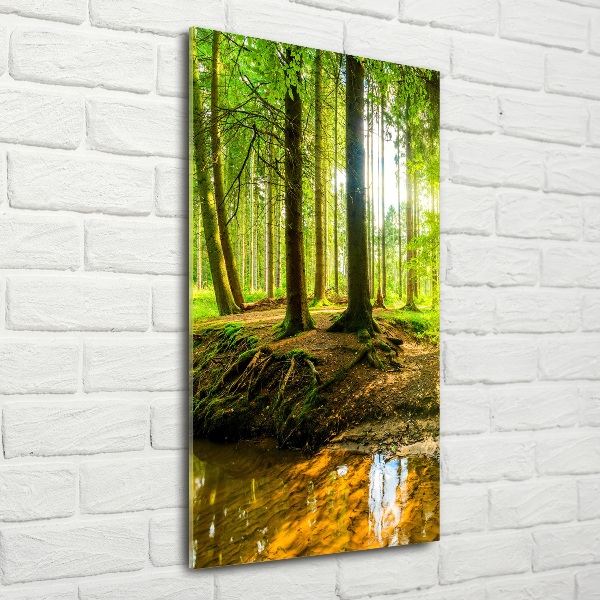 Glass wall art Stream in the forest