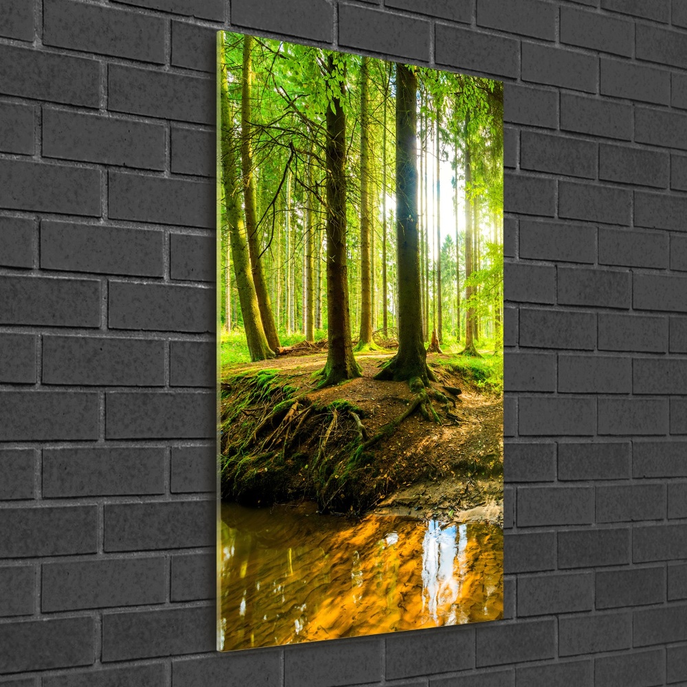 Glass wall art Stream in the forest