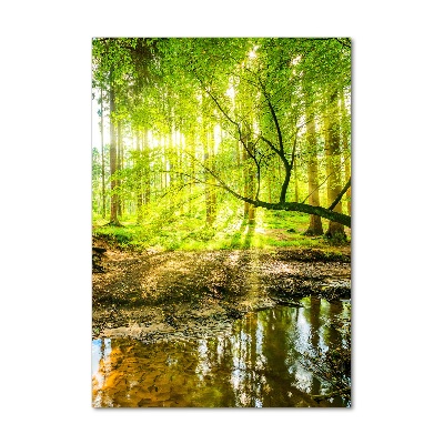 Glass wall art Stream in the forest