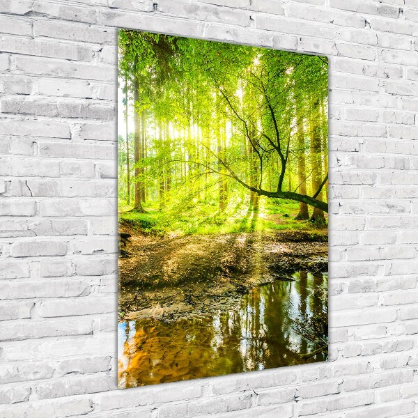 Glass wall art Stream in the forest