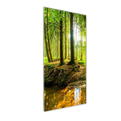 Glass wall art Stream in the forest