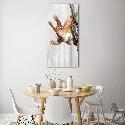 Wall art on glass Squirrel on a tree