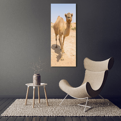 Wall art on glass A camel in the desert