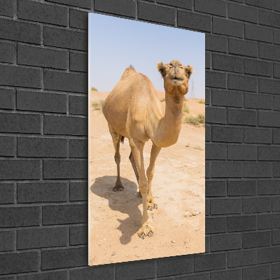 Wall art on glass A camel in the desert