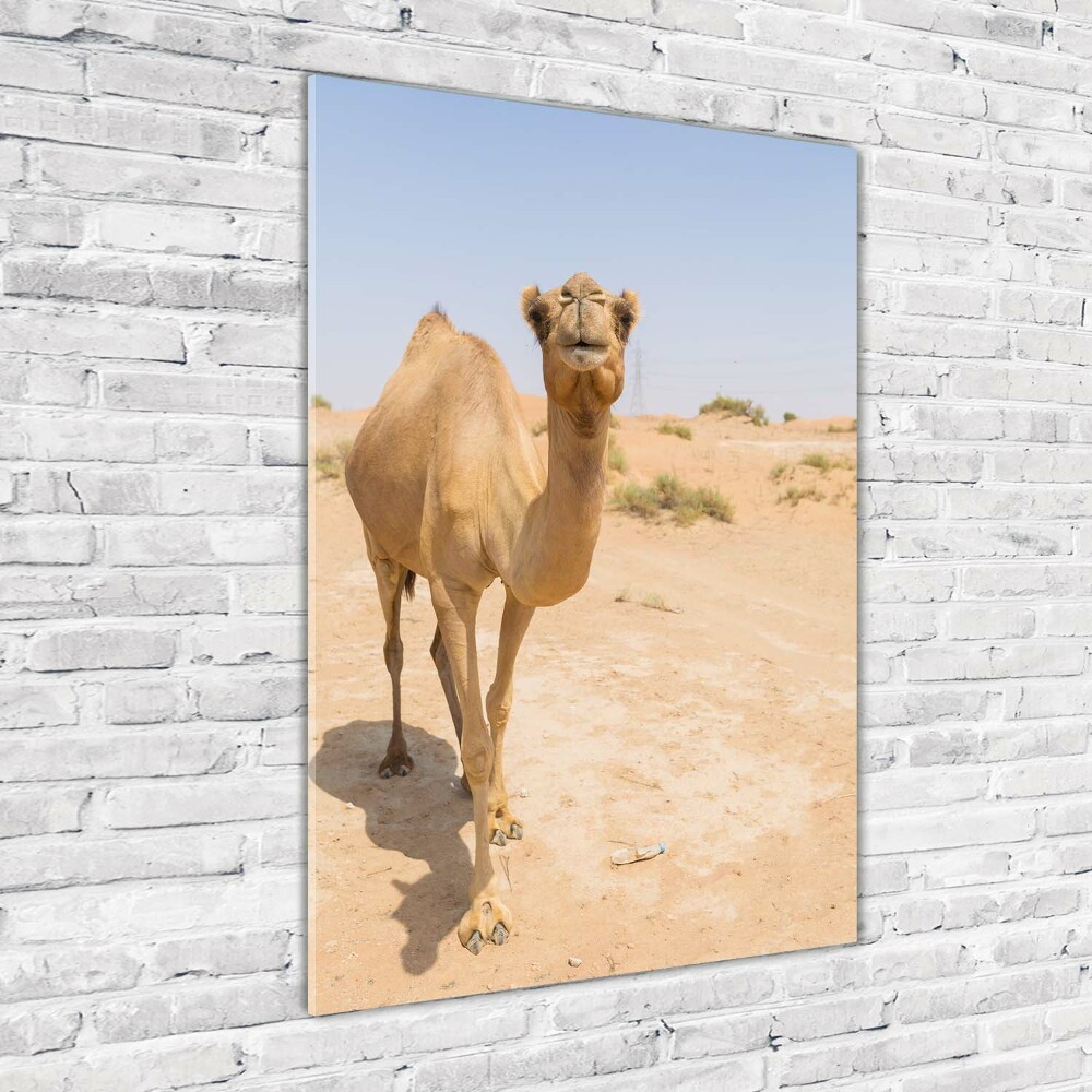 Wall art on glass A camel in the desert