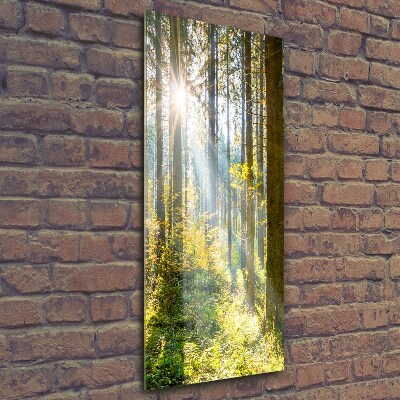 Print on a a glass The sun in the forest