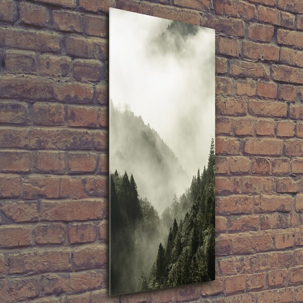 Glass wall art Fog over the forest