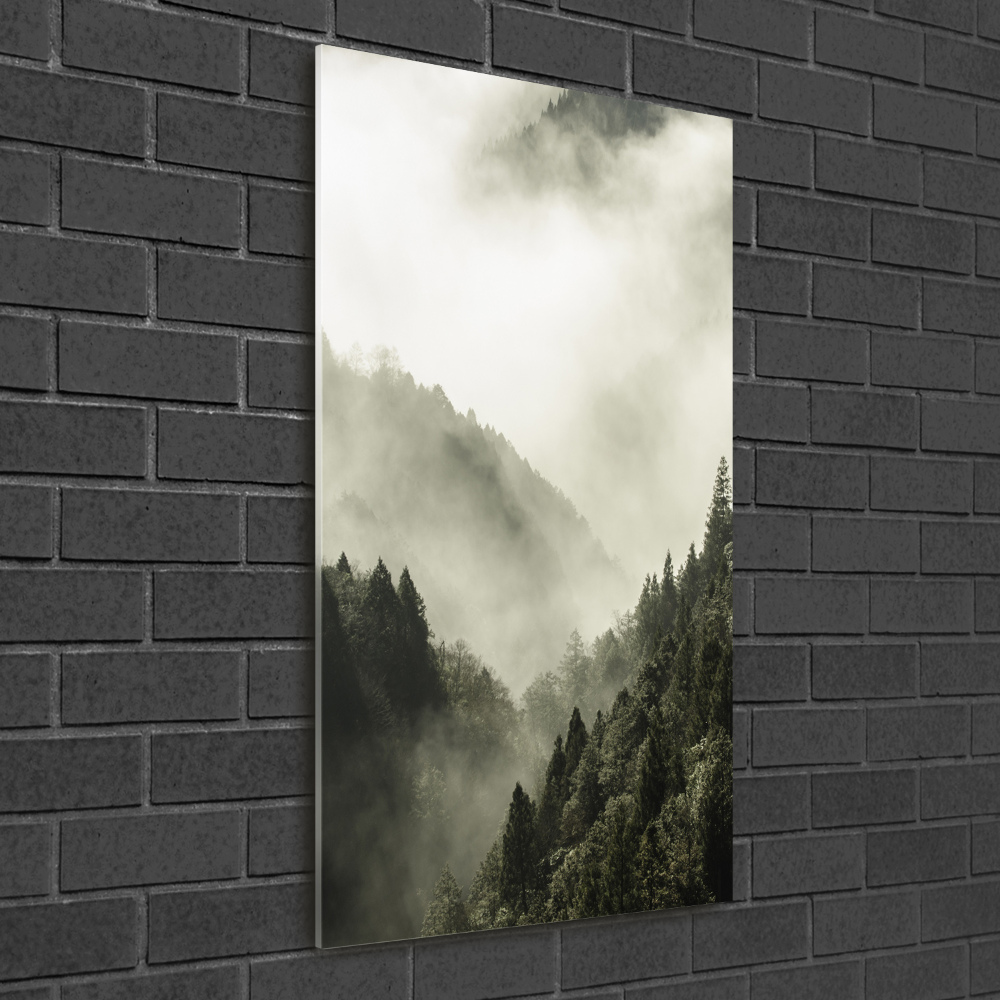 Glass wall art Fog over the forest