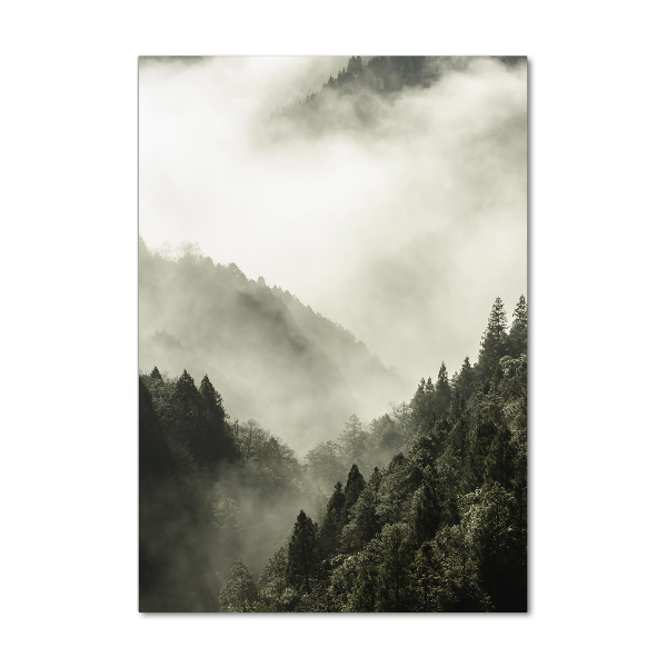 Glass wall art Fog over the forest