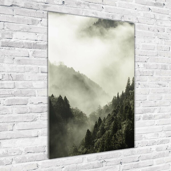 Glass wall art Fog over the forest