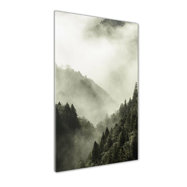 Glass wall art Fog over the forest