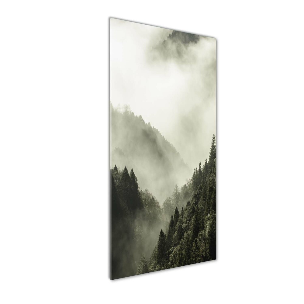 Glass wall art Fog over the forest