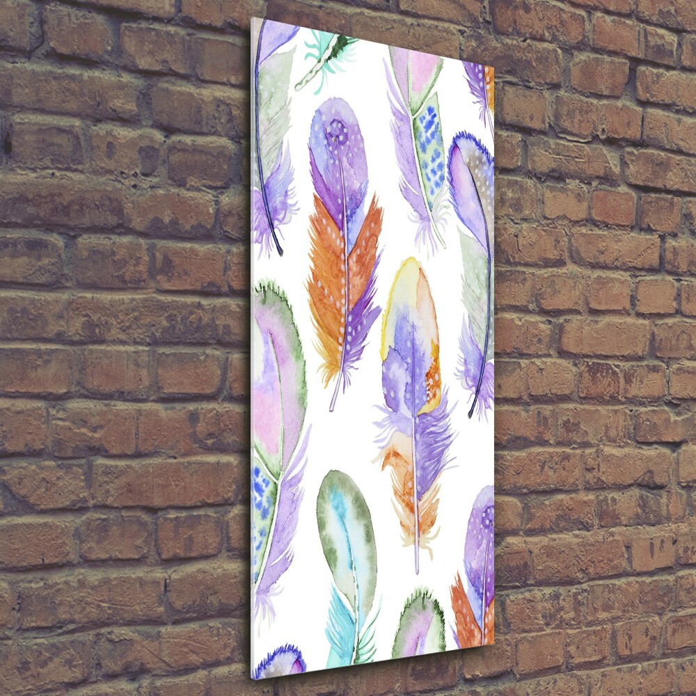 Glass picture wall art Colorful feathers