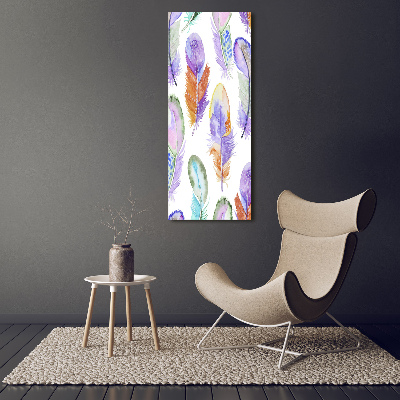 Glass picture wall art Colorful feathers