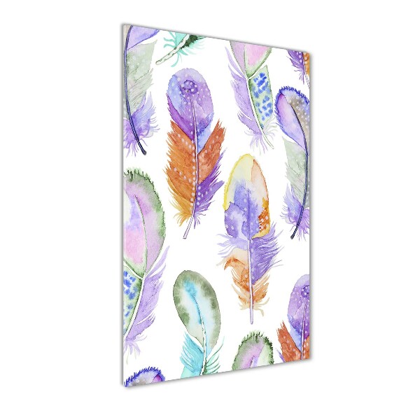 Glass picture wall art Colorful feathers