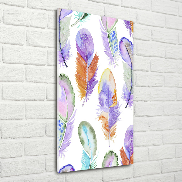 Glass picture wall art Colorful feathers