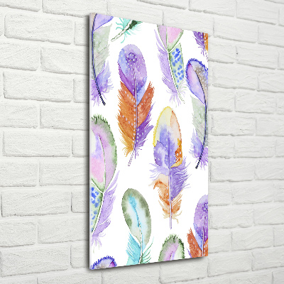 Glass picture wall art Colorful feathers