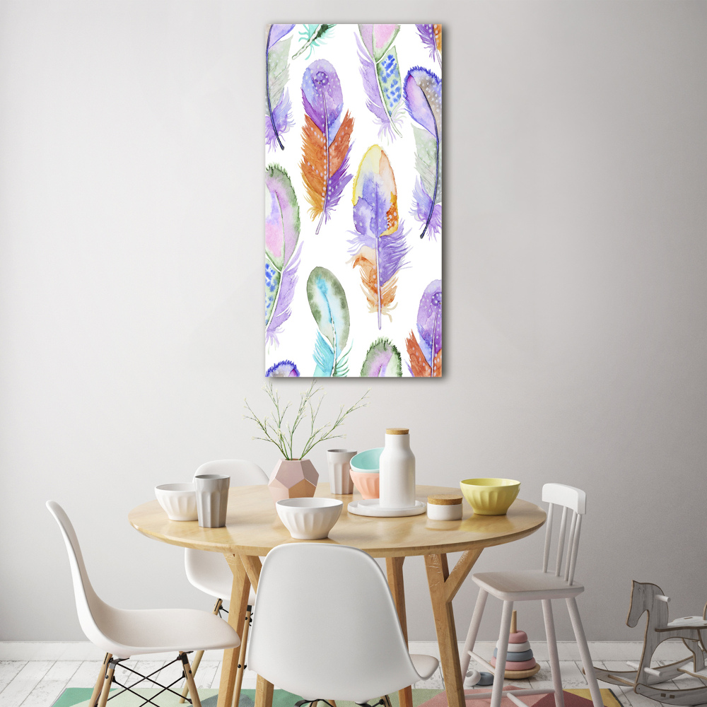 Glass picture wall art Colorful feathers