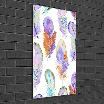 Glass picture wall art Colorful feathers