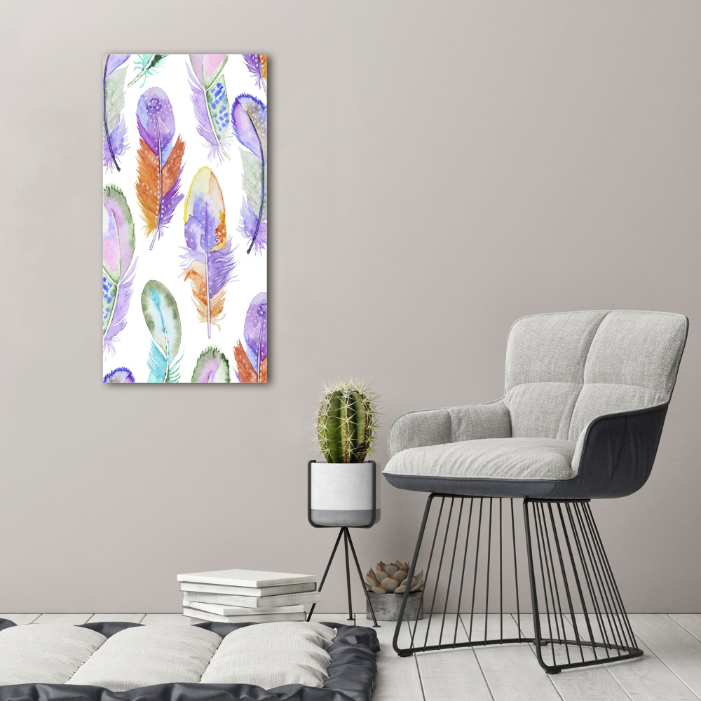 Glass picture wall art Colorful feathers