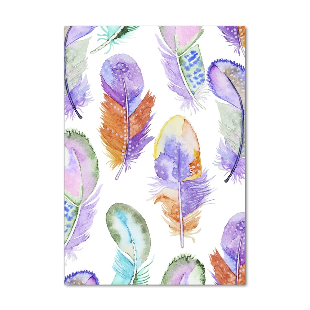 Glass picture wall art Colorful feathers