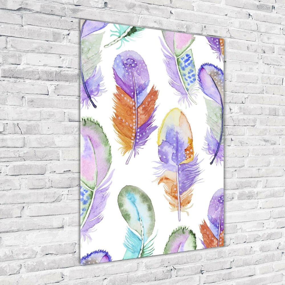 Glass picture wall art Colorful feathers