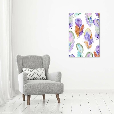 Glass picture wall art Colorful feathers