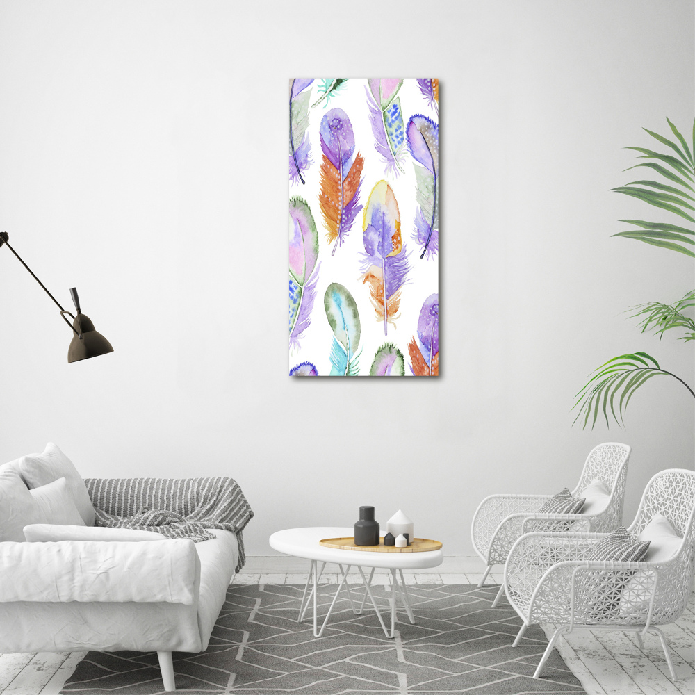 Glass picture wall art Colorful feathers