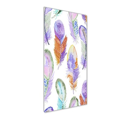 Glass picture wall art Colorful feathers