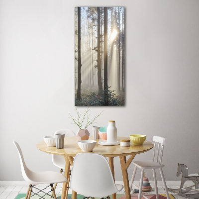 Print on a a glass Fog in the forest