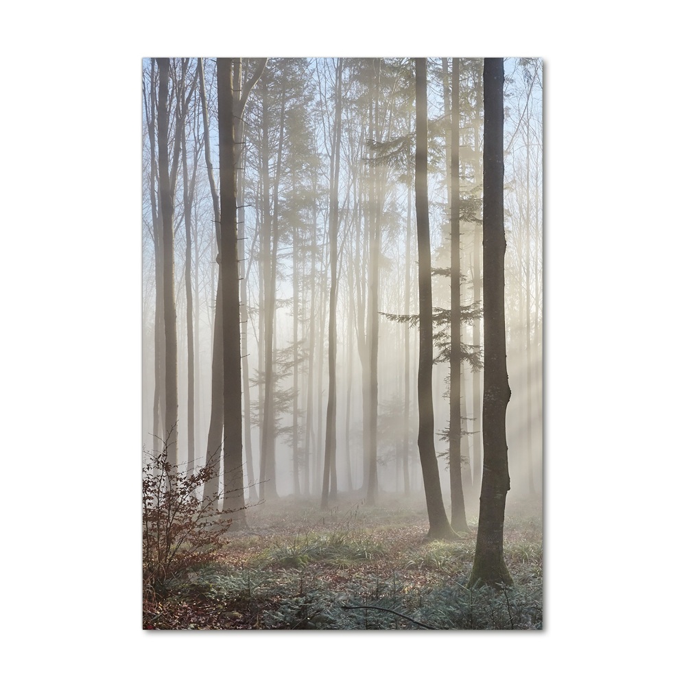 Print on a a glass Fog in the forest