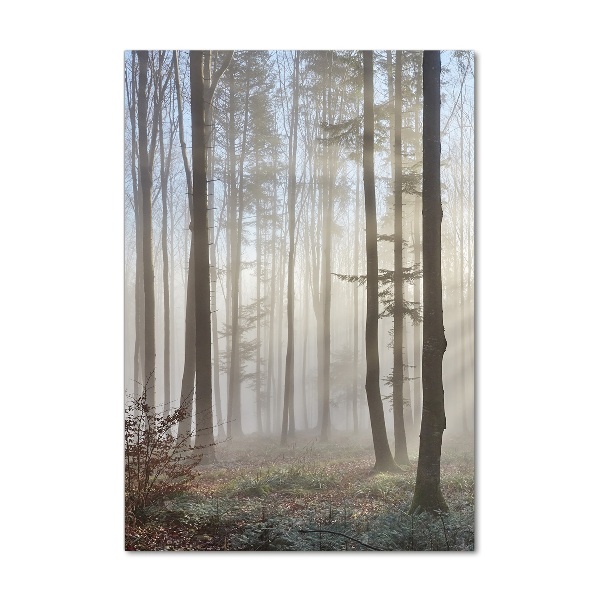 Print on a a glass Fog in the forest