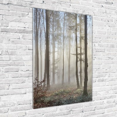 Print on a a glass Fog in the forest