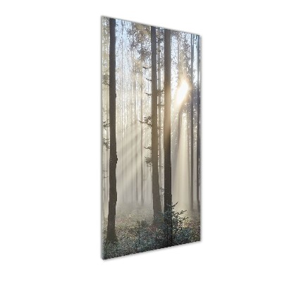 Print on a a glass Fog in the forest