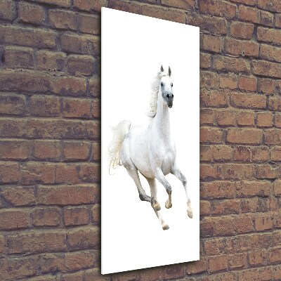 Print on a a glass White horse at a gallop