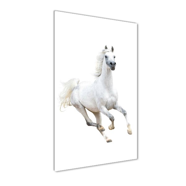 Print on a a glass White horse at a gallop