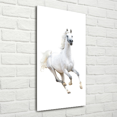 Print on a a glass White horse at a gallop