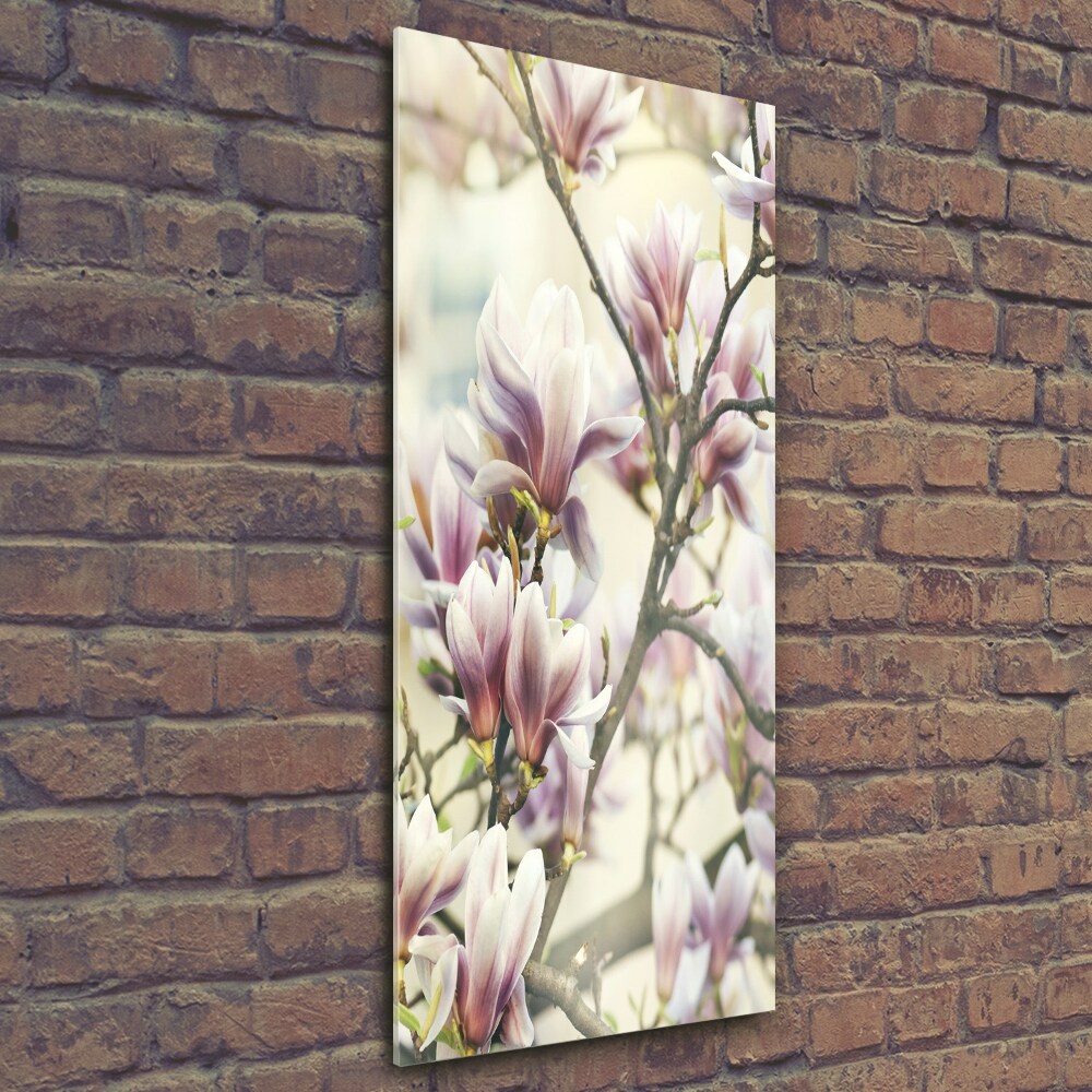 Wall art on glass Magnolia