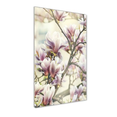 Wall art on glass Magnolia