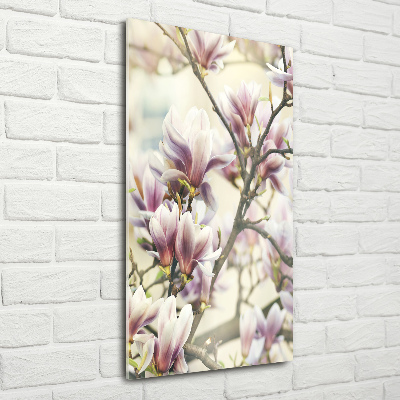 Wall art on glass Magnolia