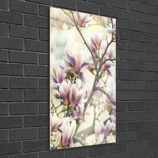 Wall art on glass Magnolia